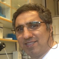 Mirlashari Mohammad Reza