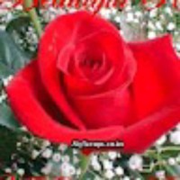 Amit Singh