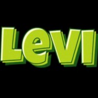 Borsi Levi