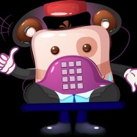 PIP PRO