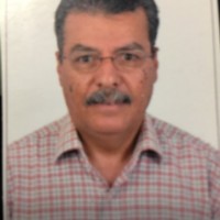 Abdul Gawad Ahmed Ahmed