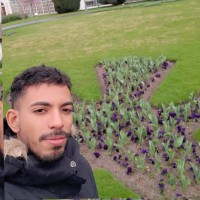 Frank Julio Vasquez