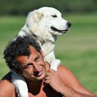 Dario Cavaleri