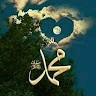 Mohammed Shohel