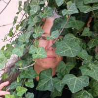 Aude Chartier Vallart