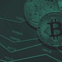 Crypto Bunny