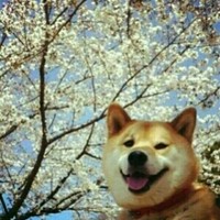 余瀚砥