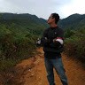 Alvin Tv