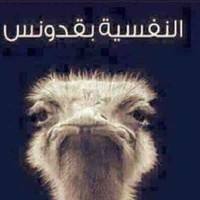 دخيل الله المطيليقاني