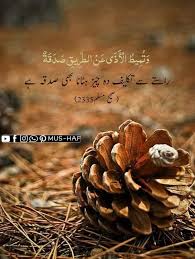 Muhammad Aaqib Javed