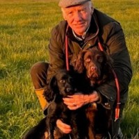Terry Harman