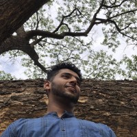 Adithya Narayan