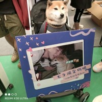 王文修