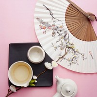 徐菲菲