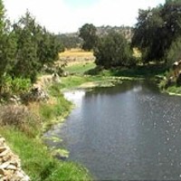 Walid Khiar