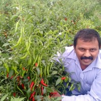 Rameswararao Chandu