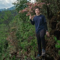 Toan Thai