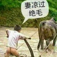 袁庆鹏