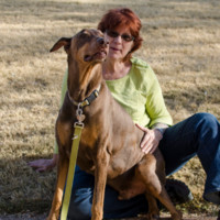 Terri Foley