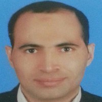 Ramadan Moussa, FMVA, CFM, CMA in progress