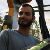 Yuval Alon