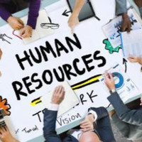 Recursos Humanos VAULT