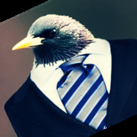 Peter Pidge