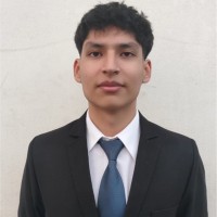 José David Perales Altamirano