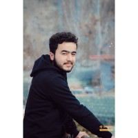 Adeel Danish