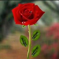 Ash Gooma