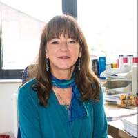 Claudia Hargarter