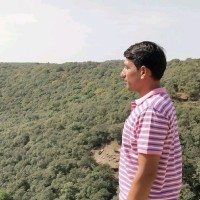 Phool singh choudhary