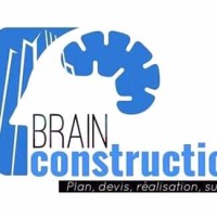 Brain Construction