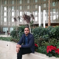 Mostafa Farouk