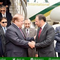 Swt Guy