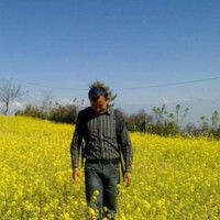 Ravi Kumar
