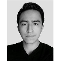 Guillermo Pichardo Alcoser