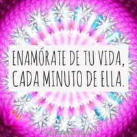 Estela C P