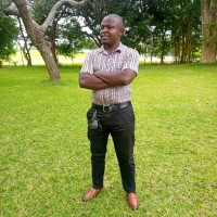 Moses Mutambo