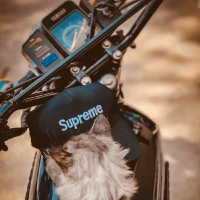 Mohamed Mujahid