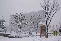 刘彦威