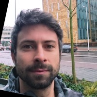 Pedro Paulo Lins e Silva