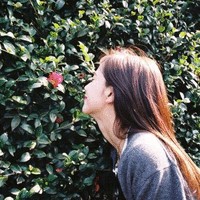Cheryl Song