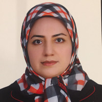 Dr. Somaye Salekmoghadam
