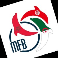 Mfb Partner