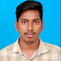 Viknesh S