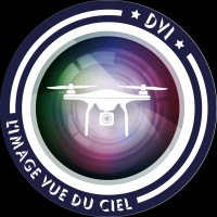 DVI Production