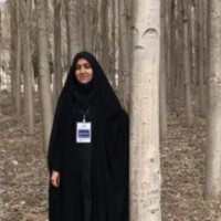 Narges Mirehi