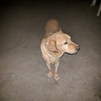 Oscar Mendoza
