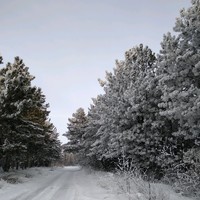 Ольга Смирновв